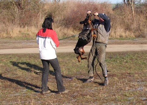 The christmas training 27.12.2006